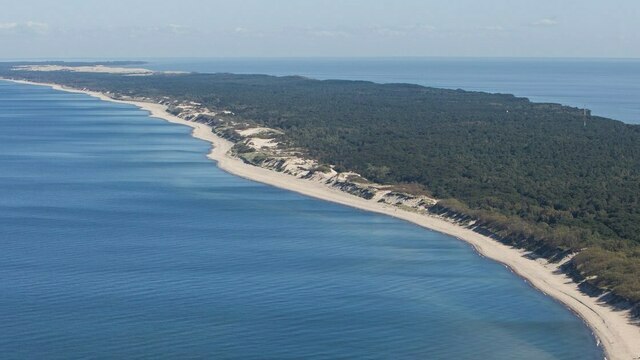 Гостиница в Рыбачьем на Куршской косе может создать дыру в глобальной экосистеме — орнитологи  