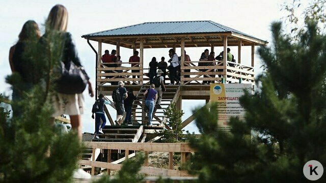 Туристическая ёмкость Куршской косы исчерпана — учёный  