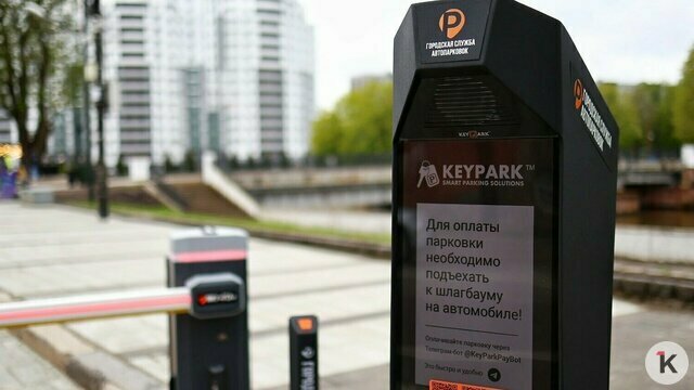 В Калининграде треть льготников получили отказы на бесплатные парковки