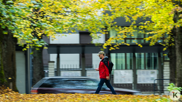 Погода в Калининграде и области в пятницу