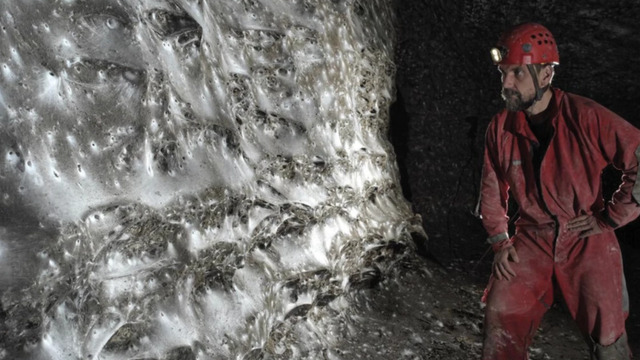 В пещере на границе Албании и Греции нашли самую большую в мире паутину площадью 100 кв. м 