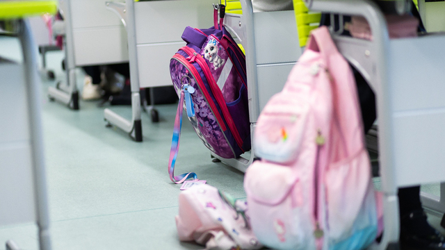 Все калининградские школы и детсады окончательно перейдут на MAX до 15 ноября 