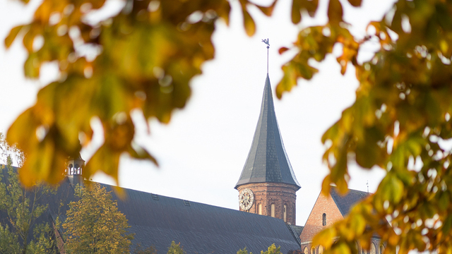 Синоптики рассказали, чем калининградцев порадует погода на предстоящих выходных 