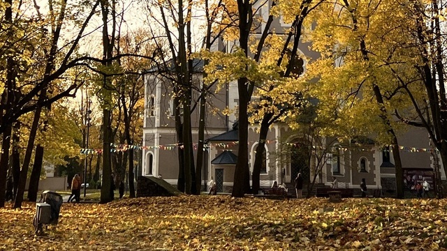 Тепло и сухо: в Калининграде ноябрь теплее нормы