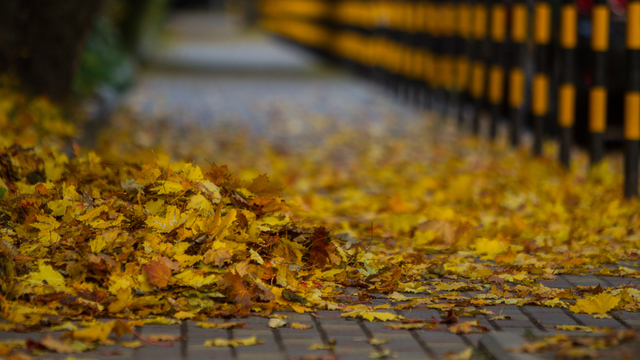 Не бери в руки острые предметы и отложи уборку в доме: приметы на 8 ноября