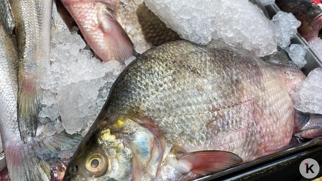Власти объяснили, кого винить из-за высоких цен на рыбу в Калининграде  