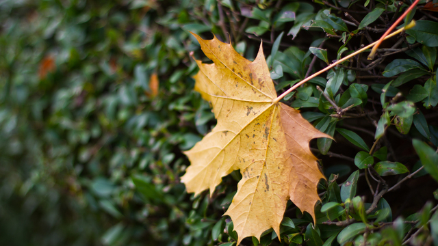 Не выбрасывай еду и не давай деньги в долг: приметы на 12 ноября