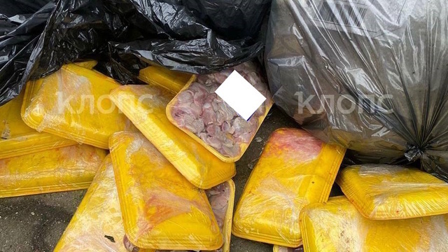 У дома, где жила Дятлова, образовался склад протухших продуктов (видео)