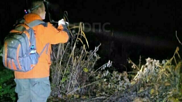 Исчезнувший под Правдинском: первыми тревогу забили соседи, близкие не заметили пропажи пенсионера (фото, видео)  