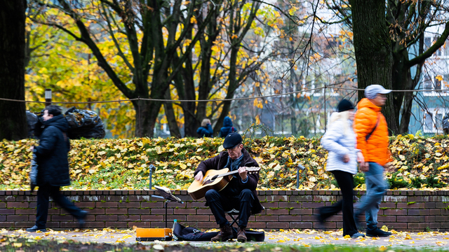 Наука, моржи и козочки: 6 бесплатных мероприятий уикенда в Калининграде и области