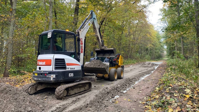 Животным на Куршской косе включают музыку, чтобы они не ходили по строящейся велодорожке