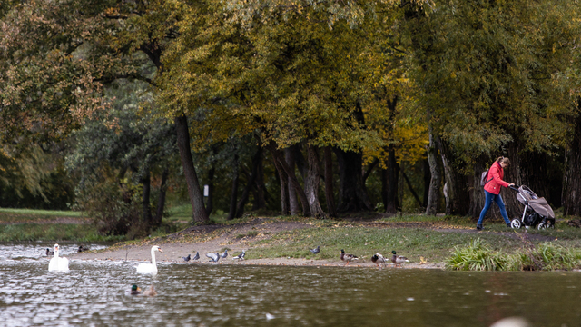 Отложи рукоделие и не прогоняй мяукающую кошку: приметы на 14 ноября