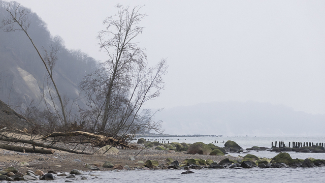 В Филинской бухте в море впадает зловонная речка (видео)  