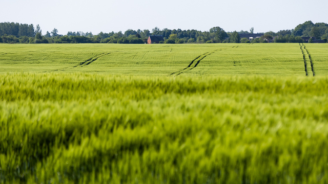 В Калининградской области увеличат расходы на сельское хозяйство и экологию — Андрей Кропоткин