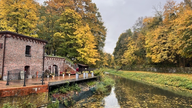 Тепло с калининградцами попрощалось: с выходных начинается похолодание