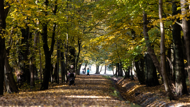 В Калининградской области стояли летние ночи посреди ноября
