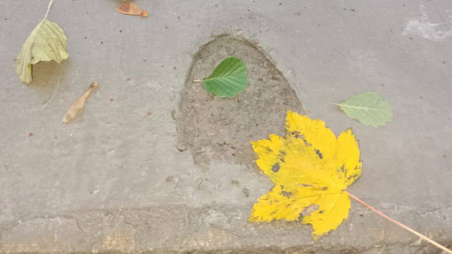 Гости Куршской косы прогулялись по свежему бетону на велодорожке и оставили следы, нацпарк просит так не делать  