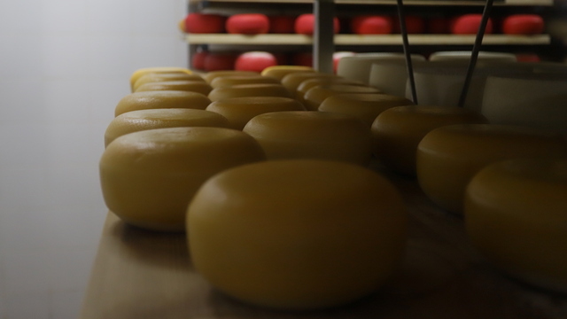 Молочная продукция уходит в минус: в регионе падают сразу три ключевых направления