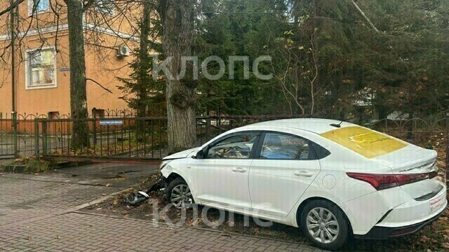 В Калининграде водитель такси вылетела на тротуар и врезалась в дерево (видео)
