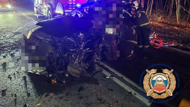 В Зеленоградском районе водитель, лишённый прав, не справился с управлением и врезался в дерево