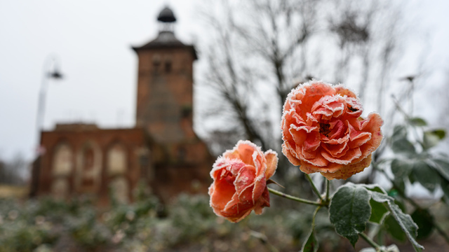 Знаменск, первые заморозки 