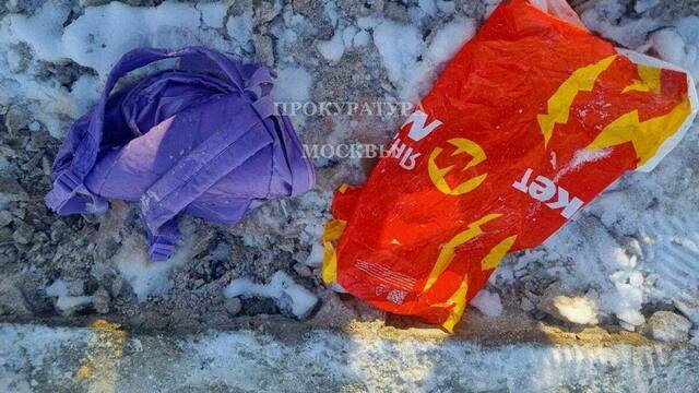 В Подмосковье нашли тело ребенка с отпиленной лобзиком головой — СМИ  