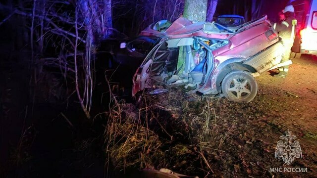 В Озёрском округе водитель автомобиля врезался в дерево, два человека погибло на месте