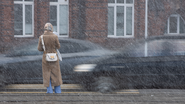 Жителей Калининградской области предупредили о ночном ливне, ледяной крупе и мокром снеге 