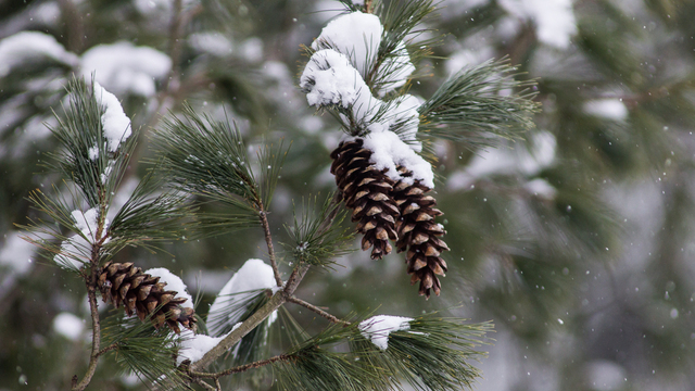 Не помогай в гостях с домашними делами: приметы на 18 ноября