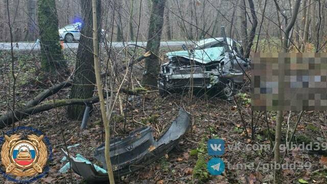 В Зеленоградском районе легковушка влетела в дерево, водитель погиб до приезда скорой