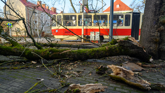 В Калининградской области ожидается усиление ветра до 16 м/с