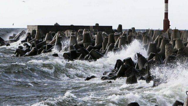 Синоптики скорректировали прогноз по ветру в Калининградской области — на побережье ждут 20 м/с