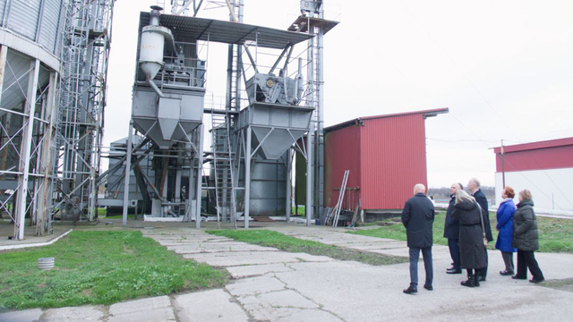 В Озёрске губернатора встретили кучерявые коровы