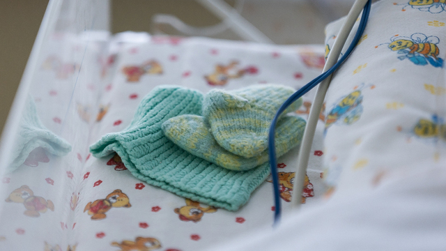 Власти рассмотрят вопрос о создании перинатального центра на востоке области — Беспрозванных  