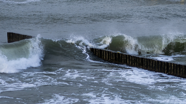 В пятницу ветер в Калининградской области разгонится до 22 м/с 