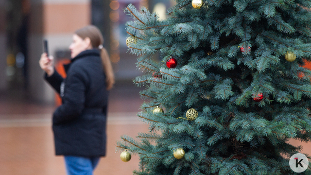 Город будет в тёплом, белом цвете: в Пионерском начали украшать курорт к Новому году