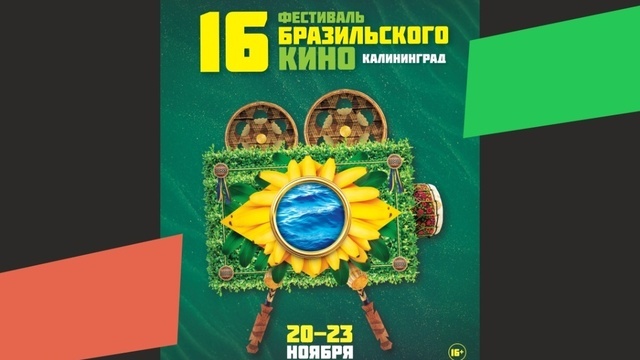 Гонг-медитация, воскресник и бразильские фильмы: ТОП-12 событий в Калининграде и области