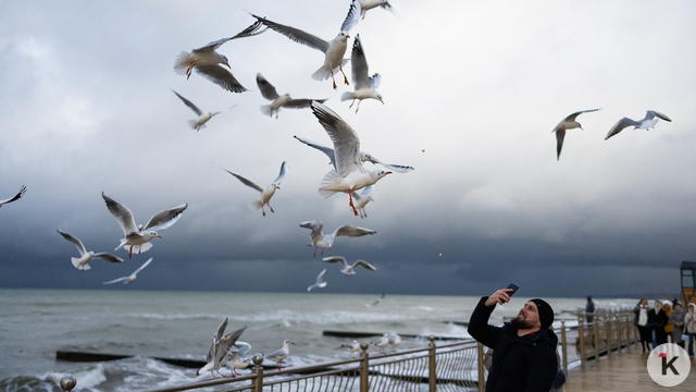 Лужи, стройка и лавочки-гиганты: как выглядит променад в Зеленоградске, который должны вот-вот открыть (фото)