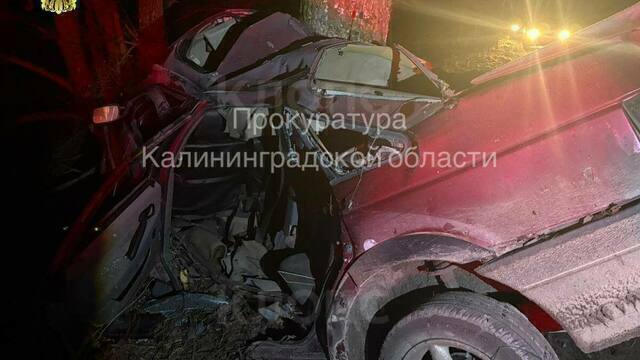 Гостили у брата и поехали в Гусев: подробности гибели водителя калининградской скорой и его жены 