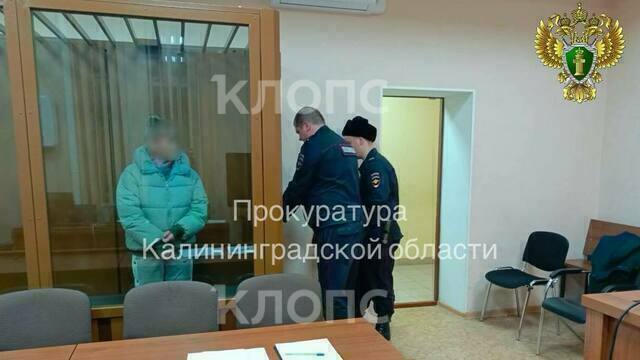 Приняла роды у дочери и задушила младенца: в Калининградской области арестовали женщину, убившую внука в 2016 году (видео)  
