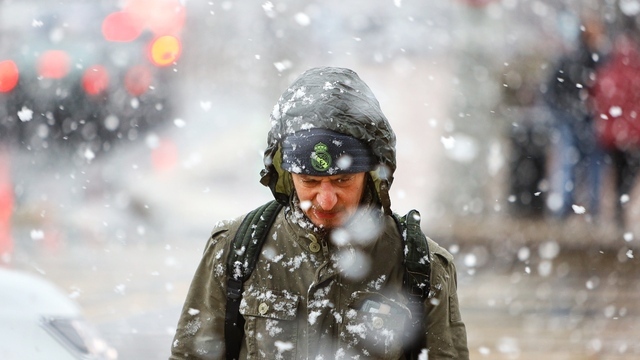 К выходным температура воздуха в Калининградской области опустится ниже нуля 