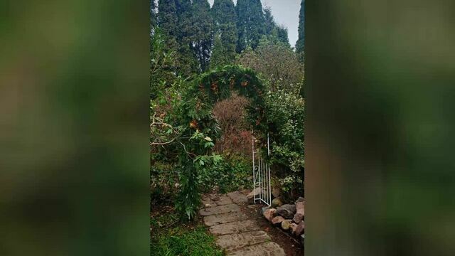 В калининградском ботаническом саду открылся портал в Нарнию (фото)  