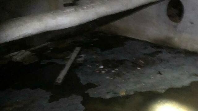 «Ловим комаров пылесосом»: из-за затопленного подвала в жилом доме в Калининграде — вонь и тучи насекомых (видео)  