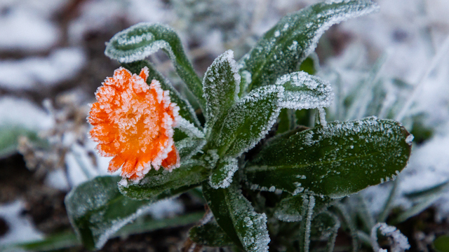 Не отдавай никому не постиранные вещи и не критикуй людей: приметы на 22 ноября