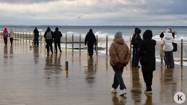 Синоптики рассказали, в каких районах Калининградской области ждать дождь и мокрый снег в субботу, 22 ноября  