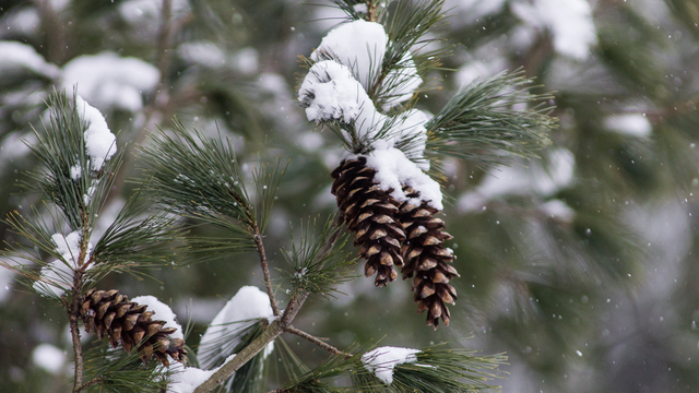Не думай о плохом и не принимай важные решения: приметы на 25 ноября