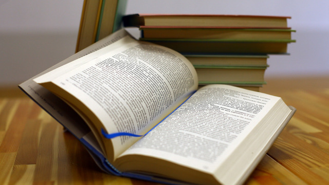 Российские филологи расширили список нецензурных слов «ж*пой»