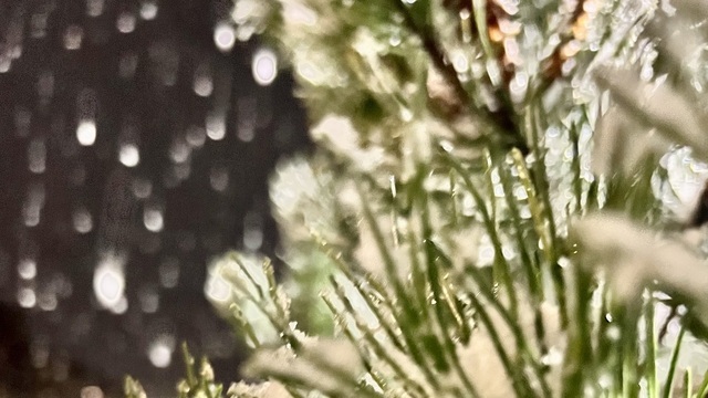 Калининград завалит снегом — и он пролежит до выходных