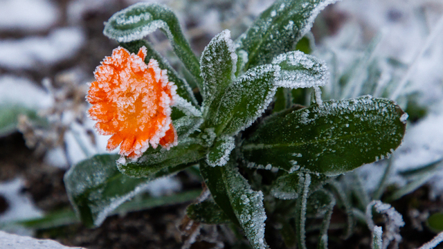 Не меняй свой стиль и не наговаривай на людей: приметы на 26 ноября