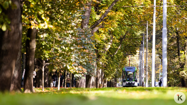 Новогодний подарок: в мэрии назвали сроки запуска трамвая №5 до Бассейной